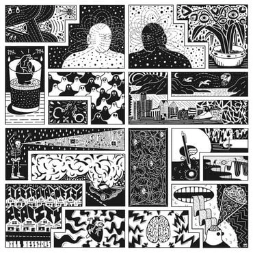 WILL SESSIONS / ウィル・セッションズ / ELECTROMAGNETIC REALITY "LP"