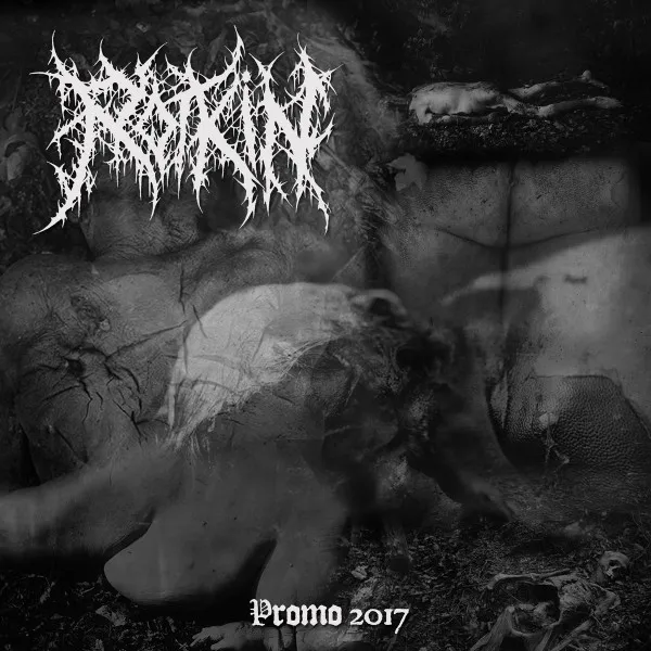 ROTKIN / PROMO 2017