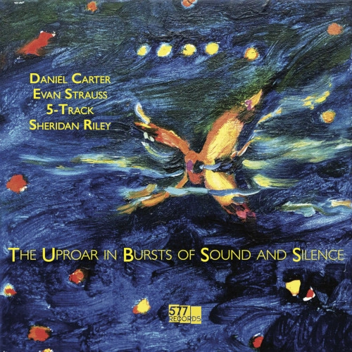 DANIEL CARTER / ダニエル・カーター / UPROAR IN BURSTS OF SOUND AND SILENCE (LP)