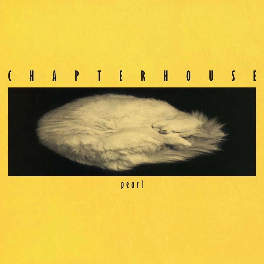 CHAPTERHOUSE / チャプターハウス / PEARL (12" ON COLOURED VINYL)