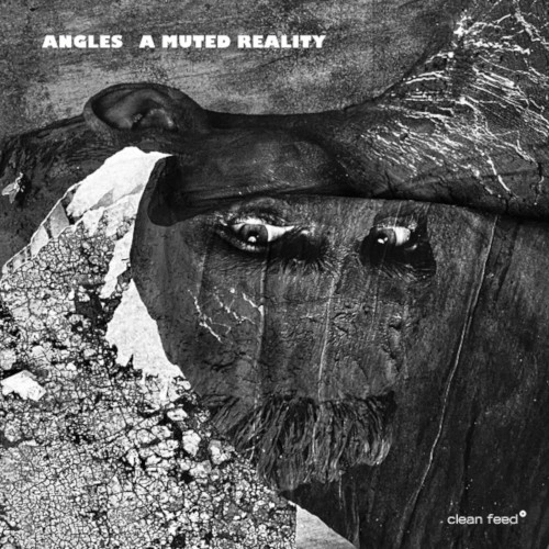 ANGLES (FREE JAZZ) / アングルス / MUTED REALITY