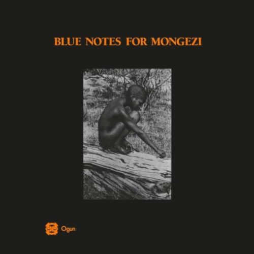BLUE NOTES(CHRIS MCGREGOR) / ブルー・ノーツ(クリス・マクレガー) / BLUE NOTES FOR MONGEZI (LP)