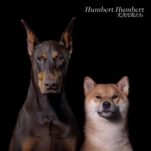 HUMBERT HUMBERT / ハンバートハンバート / 丈夫な私たち（通常盤）