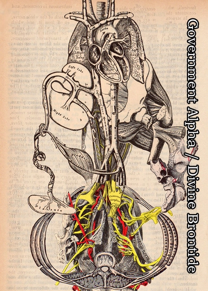 GOVERNMENT ALPHA / ガヴァメントアルファ / DIVINE BRONTIDE (CD-R) / DIVINE BRONTIDE（CD-R)