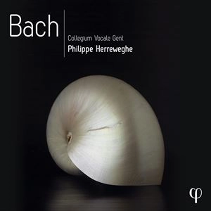 PHILIPPE HERREWEGHE / フィリップ・ヘレヴェッヘ / BACH: COLLEGIUM VOCALE GENT