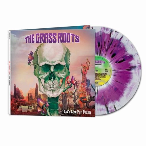 GRASS ROOTS / グラス・ルーツ / LET'S LIVE FOR TODAY [PURPLE HAZE] (LP) / LET'S LIVE FOR TODAY [PURPLE HAZE]