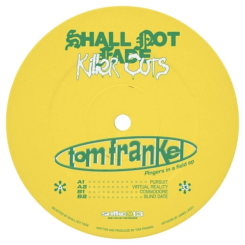 TOM FRANKEL / PINGERS IN A FIELD EP