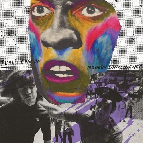 PUBLIC OPINION / MODERN CONVENIENCE (12")