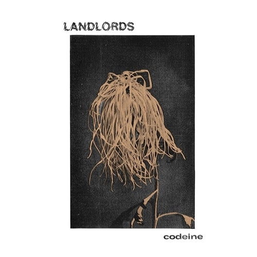 LANDLORDS / CODEINE (LP)