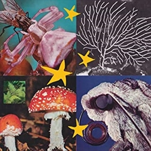 V.A. / オムニバス / ALL THINGS CONSIDERED VOL.2