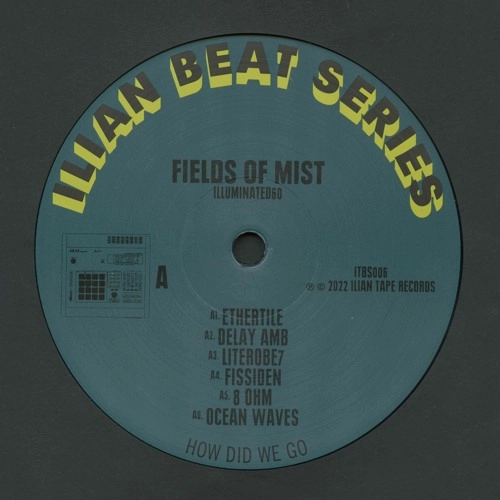 FIELDS OF MIST / ILLUMINATED60