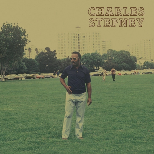 CHARLES STEPNEY / チャールズ・ステップニー / STEP ON STEP (GOLD COLOURED VINYL)