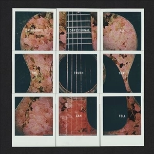 DASHBOARD CONFESSIONAL / ダッシュボードコンフェッショナル / ALL THE TRUTH THAT I CAN TELL (LP)