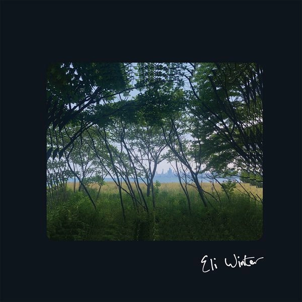 ELI WINTER / ELI WINTER (VINYL)