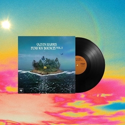 CALVIN HARRIS / カルヴィン・ハリス / FUNK WAV BOUNCES VOL.2 (BLACK VINYL)