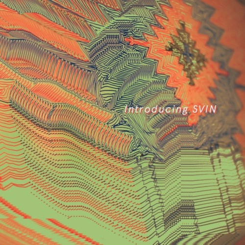 SVIN / INTRODUCING SVIN