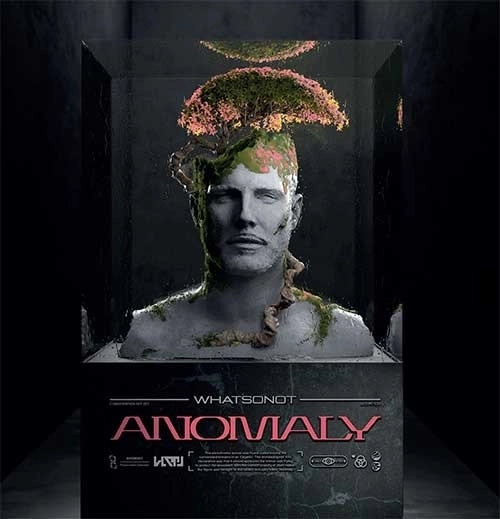 WHAT SO NOT / ANOMALY (LP)