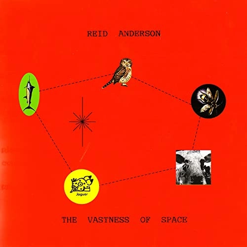 REID ANDERSON / リード・アンダーソン / VASTNESS OF SPACE