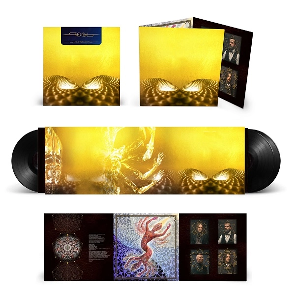 TOOL / トゥール / FEAR INOCULUM (VINYL) (3LP)