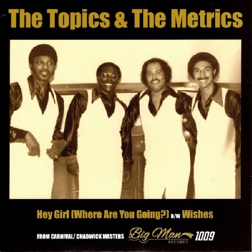 TOPICS / METRICS / HEY GIRL (WHERE ARE YOU GOING?) / WISHES