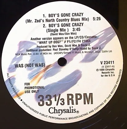 WAS NOT WAS / BOYS GONE CRAZY