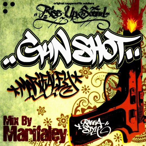 RISE UP (REGGAE) / GUN SHOT RAGGA STYLE
