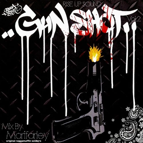 RISE UP (REGGAE) / GUN SHOT RAGGA STYLE VOL.2
