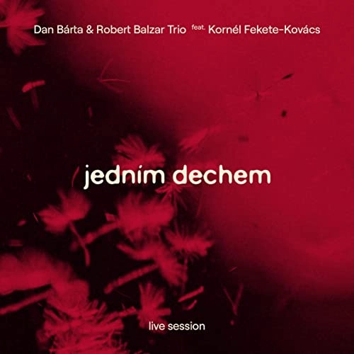 ROBERT BALZAR / ロバート・バルザー / JEDNIM DECHEM