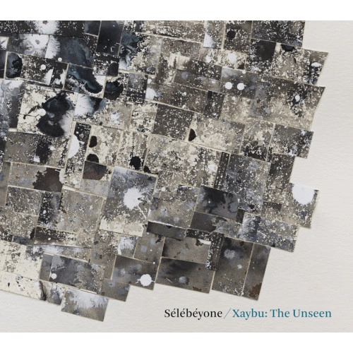 STEVE LEHMAN / スティーヴ・リーマン / XAYBU: THE UNSEEN