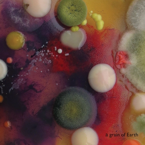 MARTA WARELIS / GRAIN OF EARTH