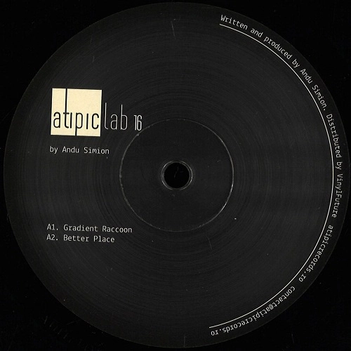 ANDU SIMION / ATIPIC LAB 016