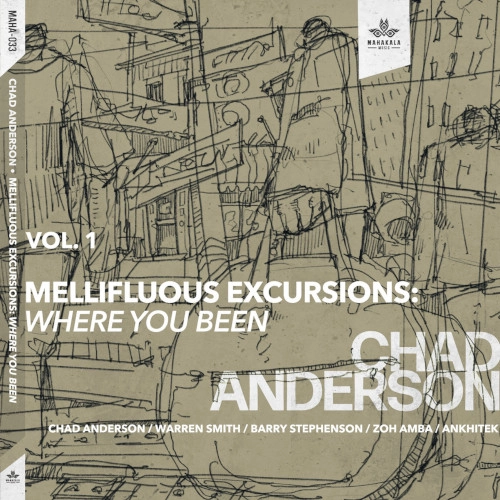CHAD ANDERSON / チャド・アンダーソン / MELLIFLUOUS EXCURSIONS VOL.1 - WHERE YOU BEEN