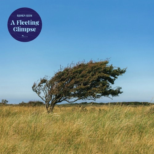 BJORN RIIS / A FLEETING GLIMPSE