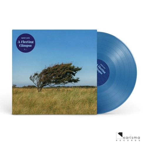 BJORN RIIS / A FLEETING GLIMPSE: LIMITED BLUE COLOR VINYL