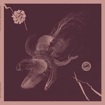 AARON TURNER & JON MUELLER / NOW THAT YOU'VE FOUND IT