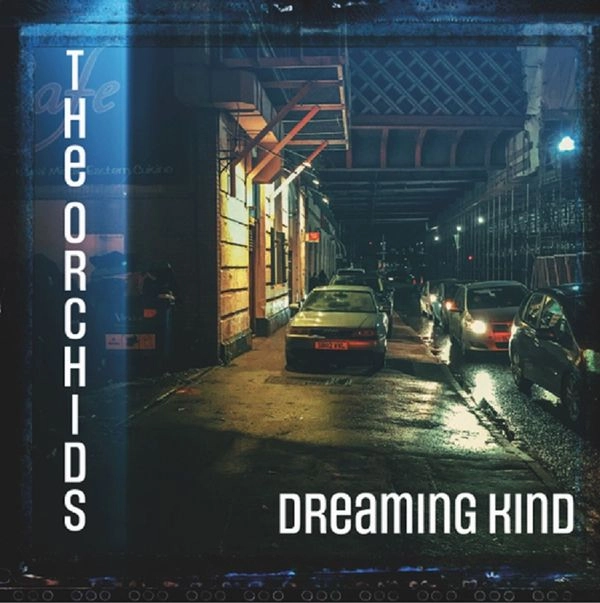 ORCHIDS / オーキッズ / DREAMING KIND (VINYL)