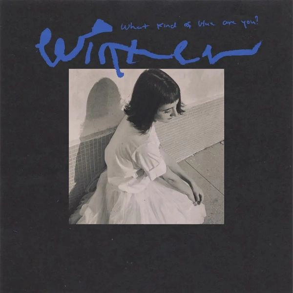 WINTER (US INDIE) / ウインター / WHAT KIND OF BLUE ARE YOU? (CASSETTE)