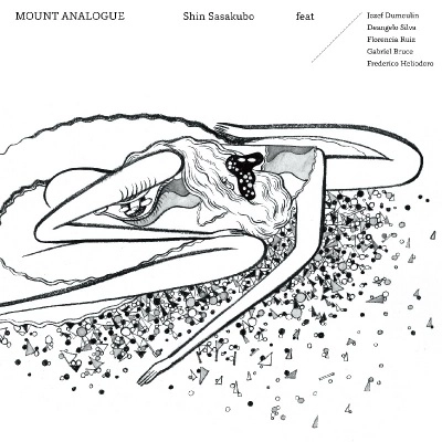 SHIN SASAKUBO / 笹久保伸 / マウント･アナログ / MOUNT ANALOGUE