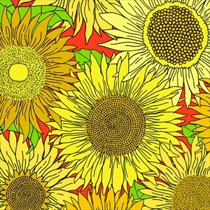 BIG JACKS / SUNFLOWER