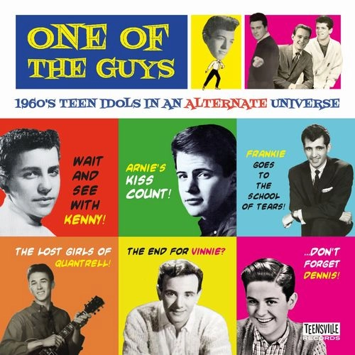 V.A. (OLDIES/50'S-60'S POP) / ONE OF THE GUYS (1960S TEEN IDOLS IN AN ALTERNATE UNIVERSE) (CD) / ONE OF THE GUYS (1960S TEEN IDOLS IN AN ALTERNATE UNIVERSE)