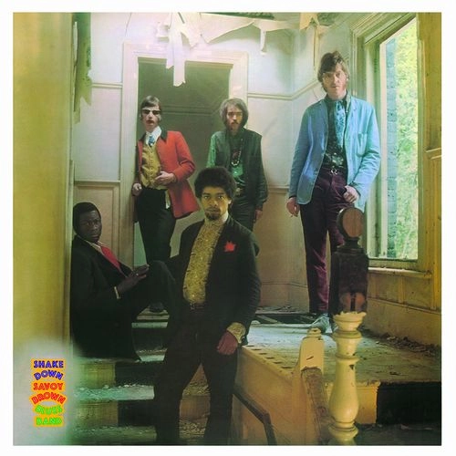 SAVOY BROWN / サヴォイ・ブラウン / SHAKE DOWN (LP)