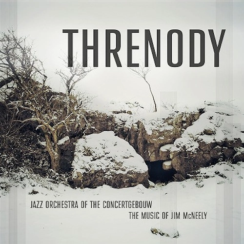JAZZ ORCHESTRA OF THE CONCERTGEBOUW / ジャズ・オーケストラ・オブ・ザ・コンセルトヘボウ / THRENODY