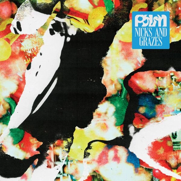 PALM  (INDIE) / パーム / NICKS AND GRAZES (BLACK VINYL)