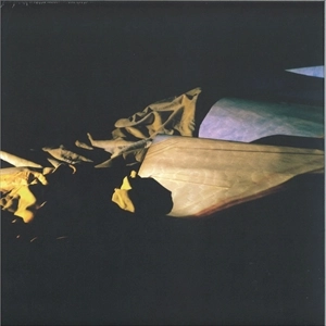 HOLY OTHER / ホーリー・アザー / LIEVE
