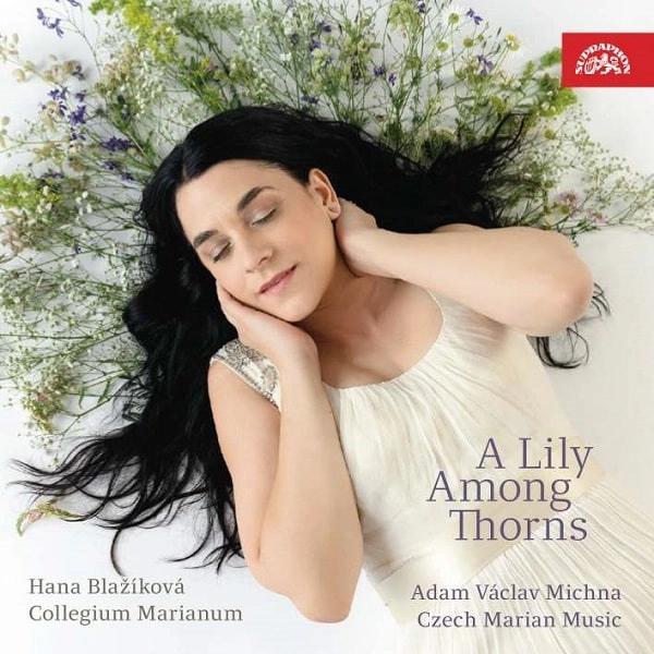 HANA BLAZIKOVA / ハナ・ブラシコヴァ / A LILY AMONG THORNS