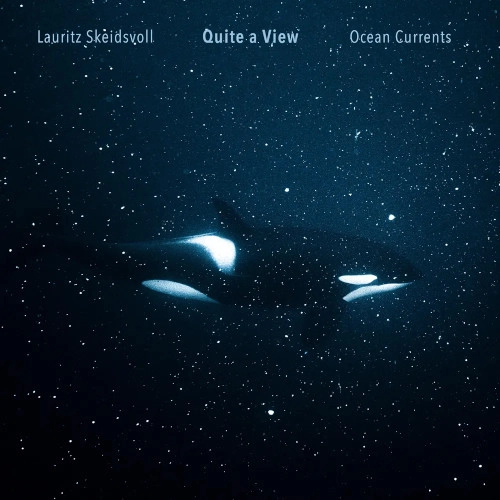 LAURITZ SKEIDSVOLL / OCEAN CURRENTS