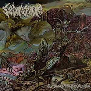 SEDIMENTUM / SUPPURATION MORPHOGENESIAQUE