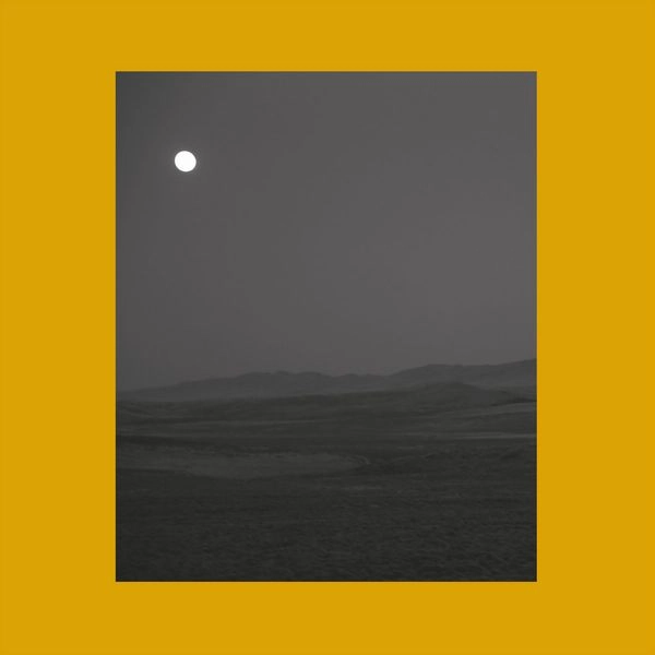 SIAVASH AMINI & EUGENE THACKER / SONGS FOR SAD POETS