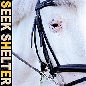 ICEAGE / アイスエイジ / SEEK SHELTER