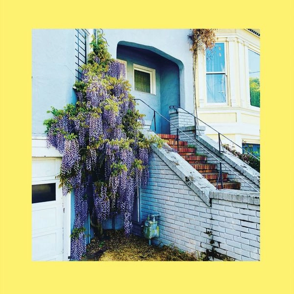 REDS, PINKS AND PURPLES / THEY ONLY WANTED YOUR SOUL (INDIE EXCLUSIVE, ROYAL BLUE VINYL)